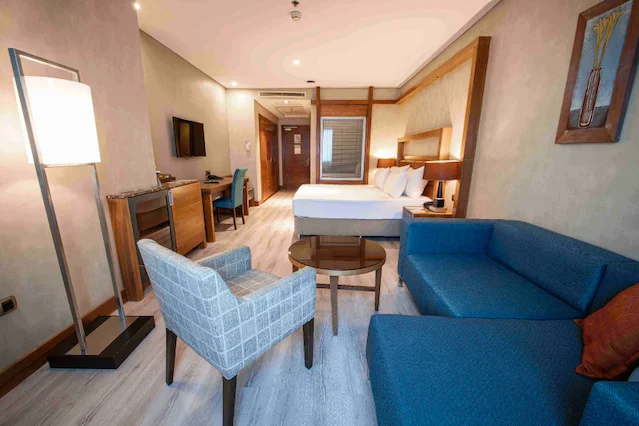Konya Dedeman Otel mobil görsel 8