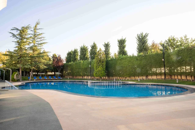 Konya Dedeman Otel görsel 3