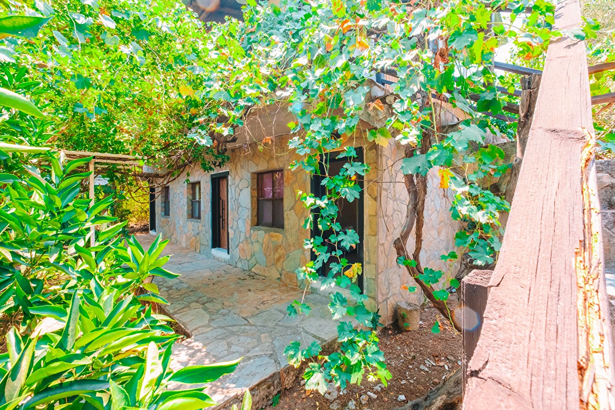 Sunthalia Olympos mobil görsel 20