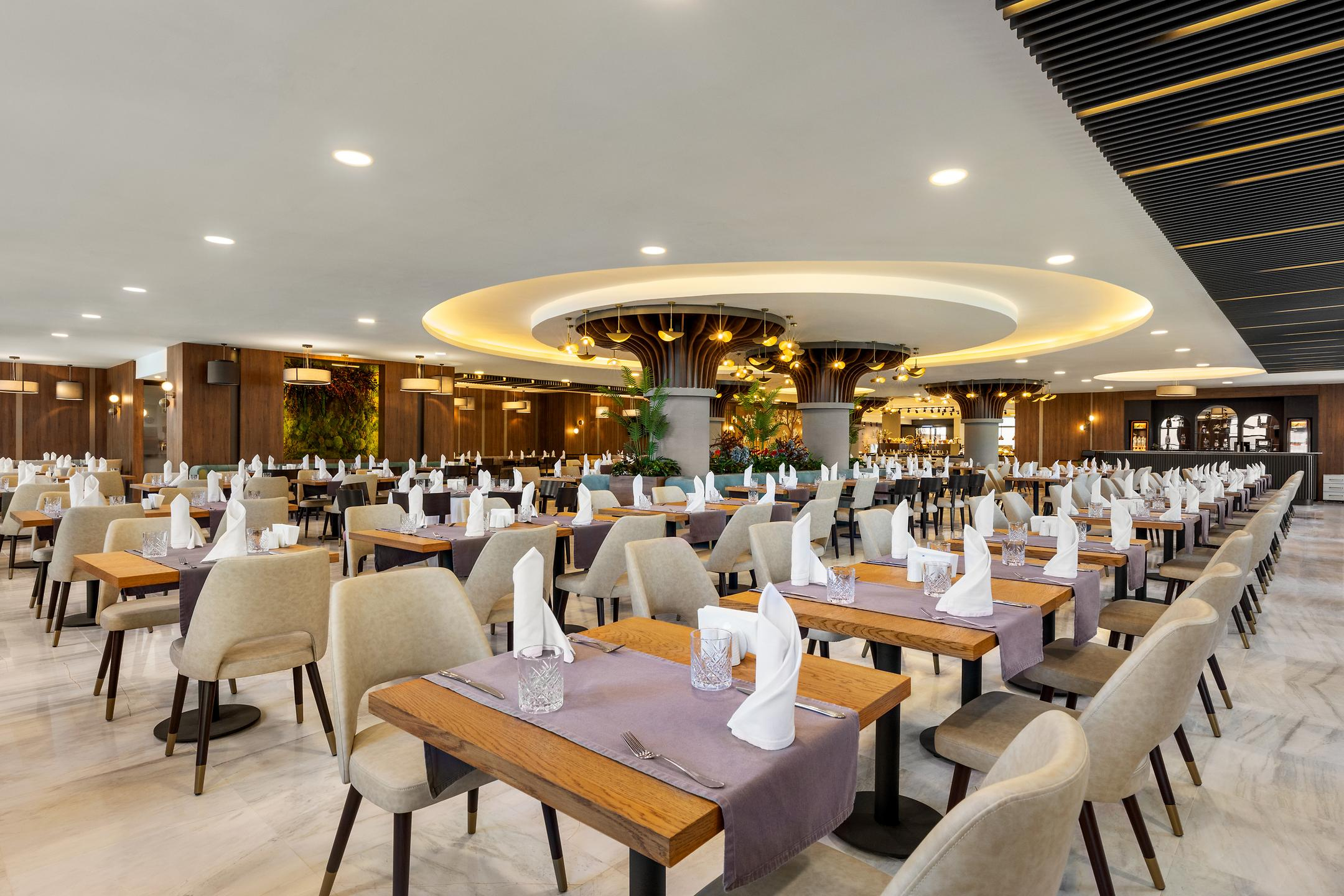 Wyndham Afyonkarahisar Thermal & Spa mobil görsel 28