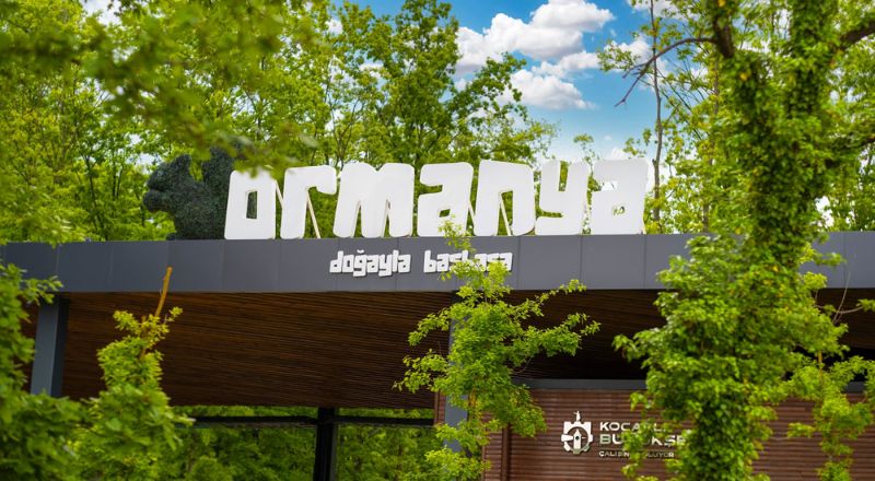 Hızlı Trenle Sapanca Maşukiye Ormanya Yedigöller Turu