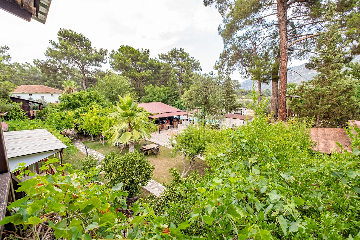 Sunthalia Olympos